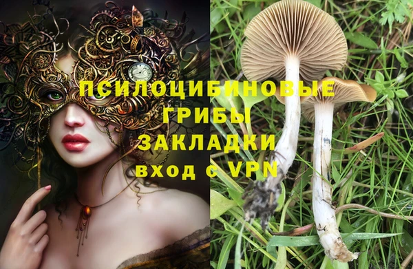 спайс Арсеньев