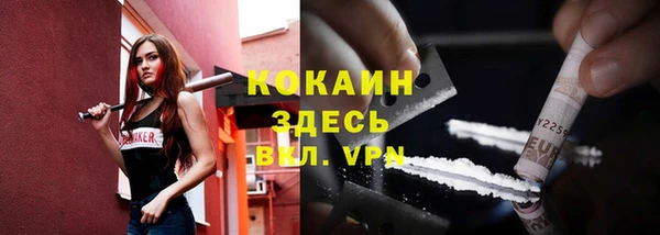спайс Арсеньев