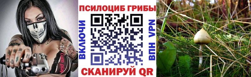 Псилоцибиновые грибы мухоморы  ОМГ ОМГ зеркало  Георгиевск 